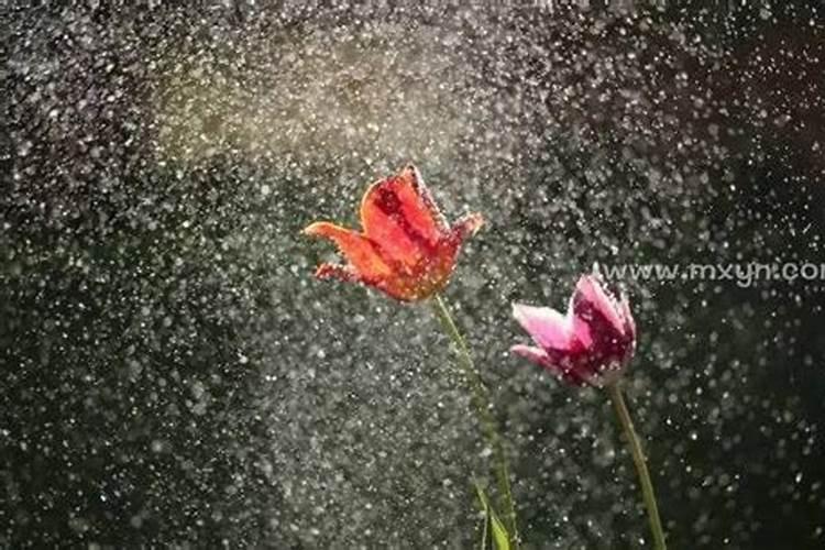 梦见下雨是什么征兆女性