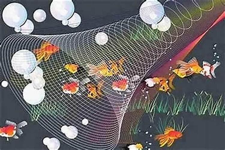 立秋节气的含义是什么意思？ 立秋养生的禁忌有哪些