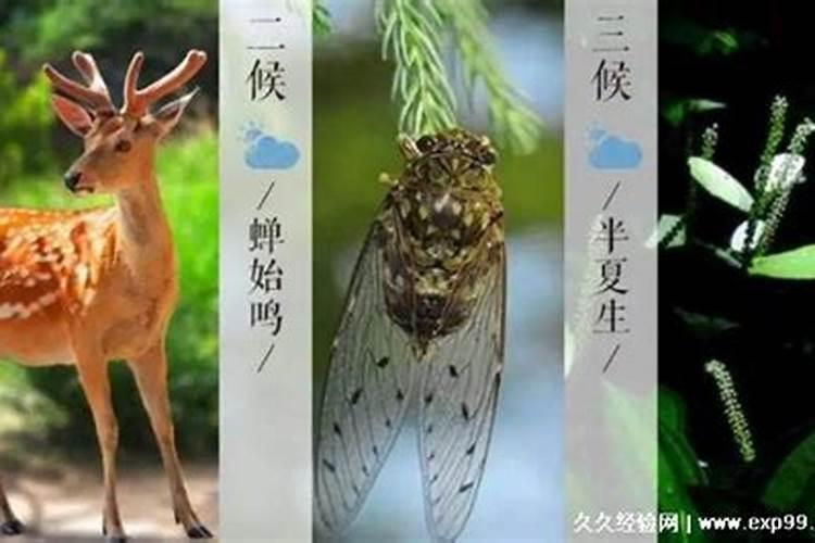 文昌位在家里哪个位置