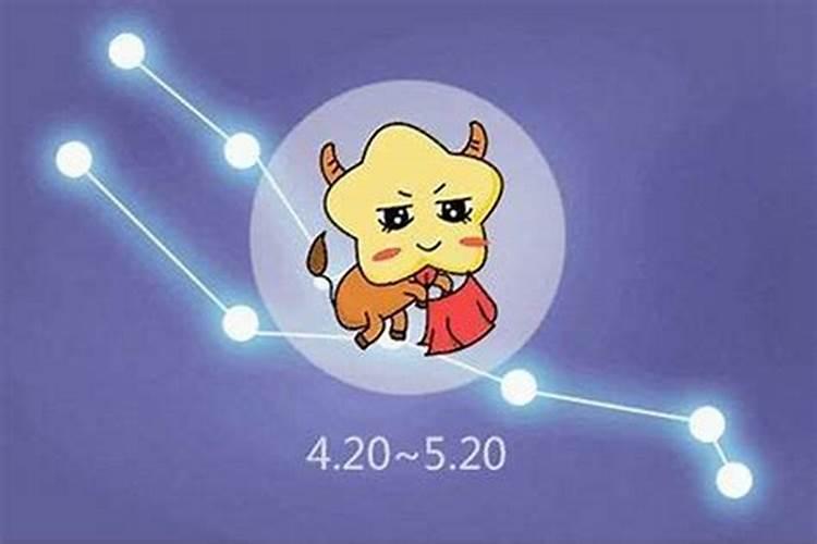 我们常说的老实人金牛座对财富、事业和爱情是怎样看待的？