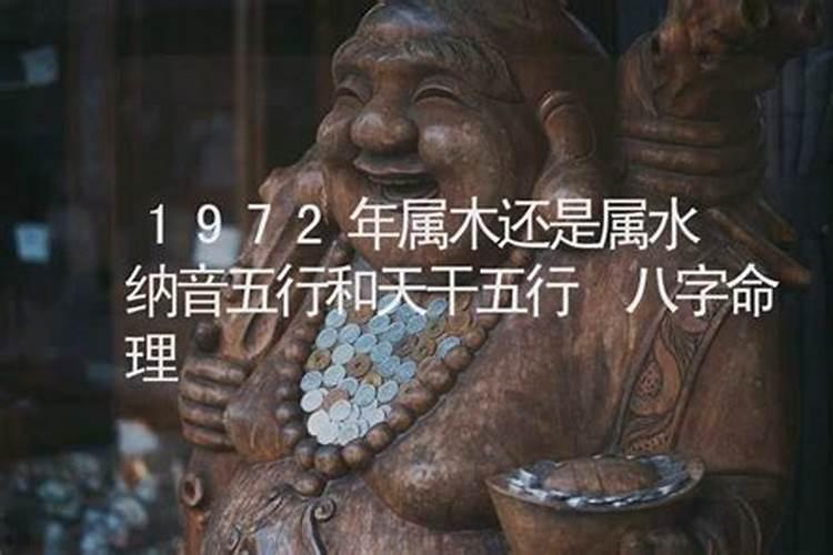 72年鼠是什么命