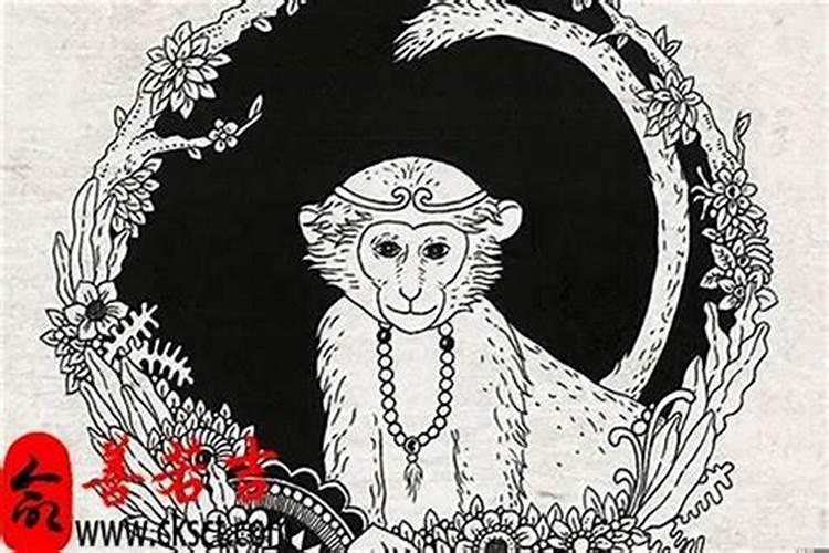 2004年属猴人未来命运怎么样