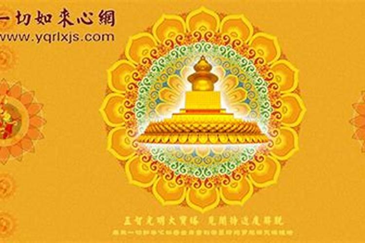 立夏过后将会收一波好运的生肖