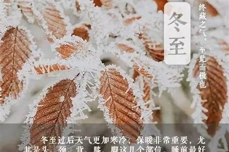 冬至的来历和风俗是什么
