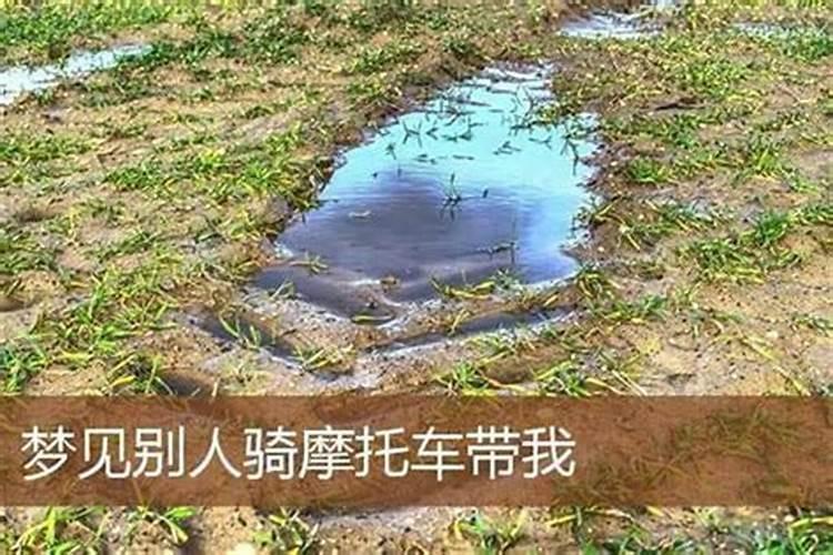 梦见老公骑车带别的女人丢下我