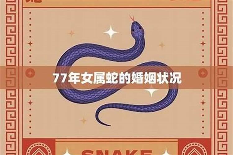 77年出生的属蛇人一生命运如何？
