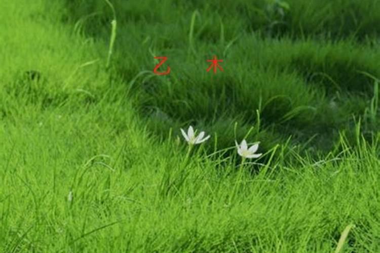 麻烦算算八字,有抑郁症,活得好累什么时候能好？