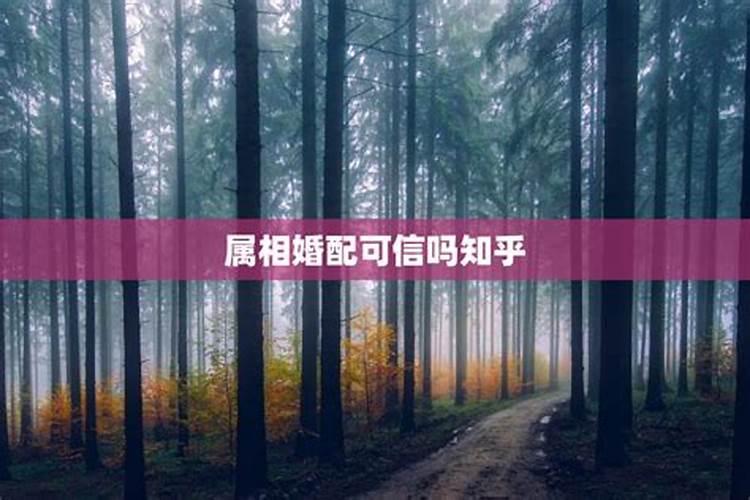 梦见老妈死了的预兆
