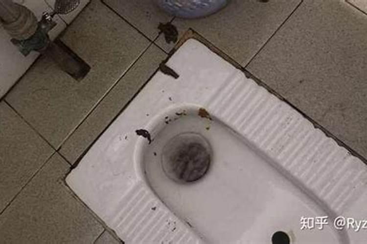 女人梦见茅坑满满的屎,梦到老式蹲坑厕所很脏