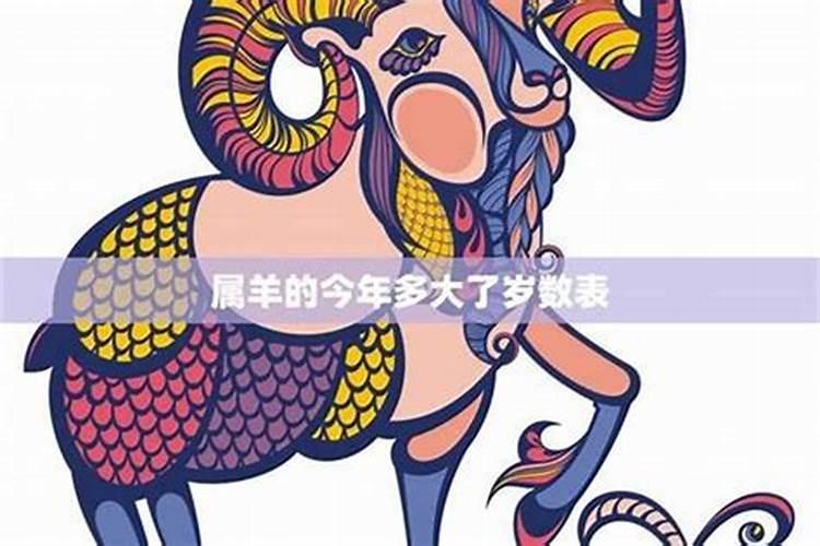 清明买什么花拜祭祖宗