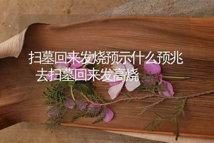 梦到和前男友吵架