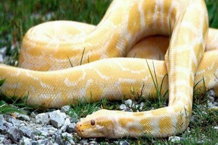 梦见好多熟人是什么预兆？