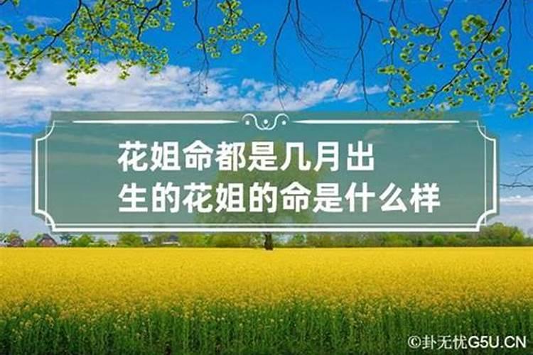 花姐命是什么意思