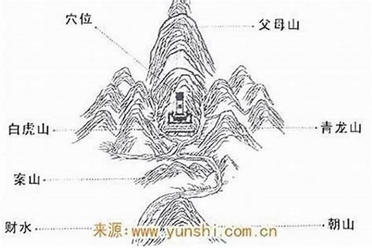 1969年属鸡女2025年运势如何