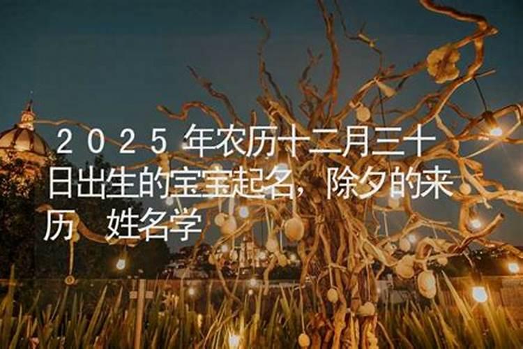 梦见身上2条蛇在自己身上想敢赶不走