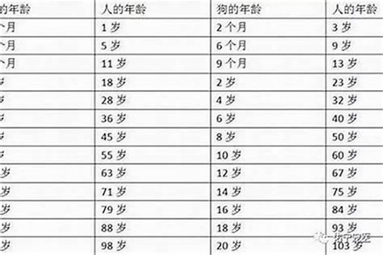 本命年都是多少岁