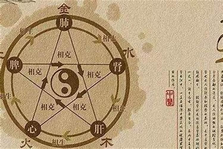 属牛和属鸡的人合得来吗