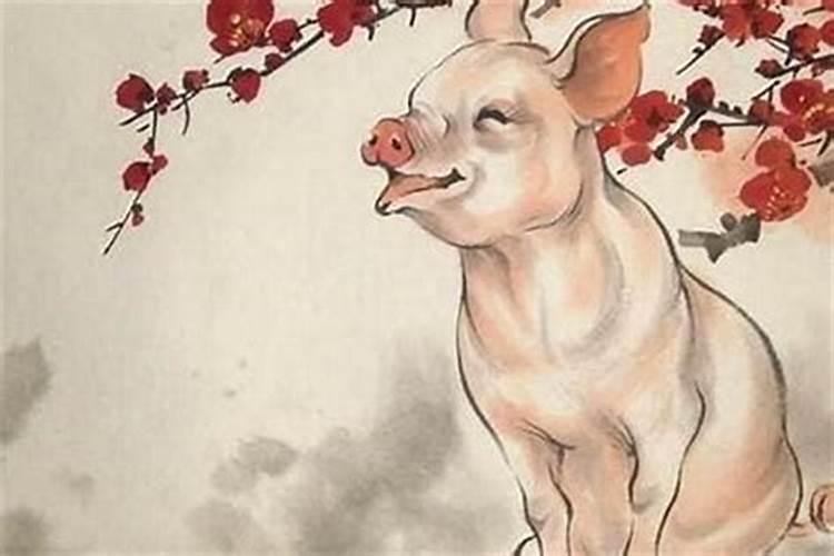 属猪冲太岁怎么化解