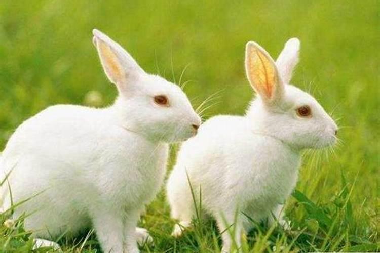 2025年腊八节是什么时候几月几日