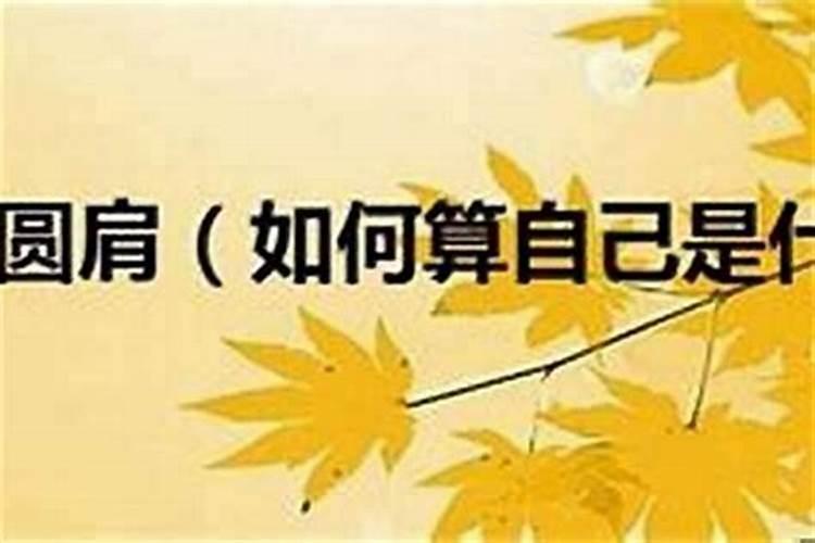 测测你这一生的命运,测测你天生是什么命？第一星座