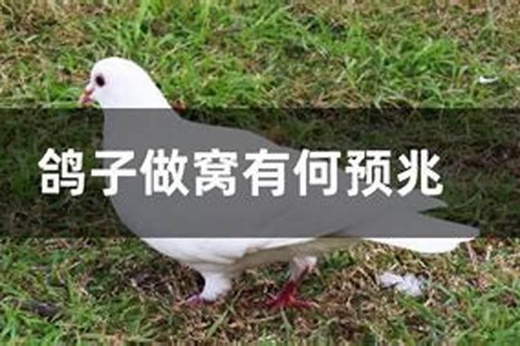 关于中秋节的民俗民风的资料200字