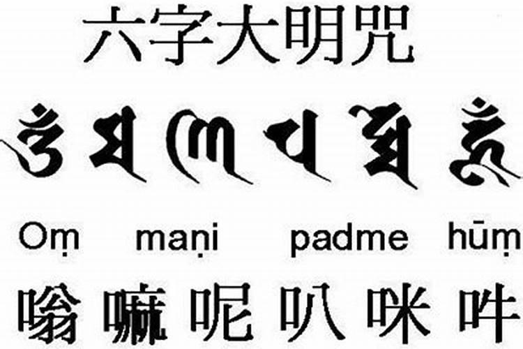 单肖是哪几肖
