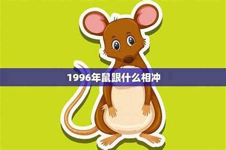 鼠年犯太岁的四个属相？