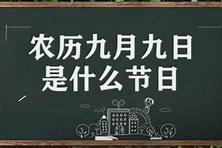 重阳节那天是什么星座