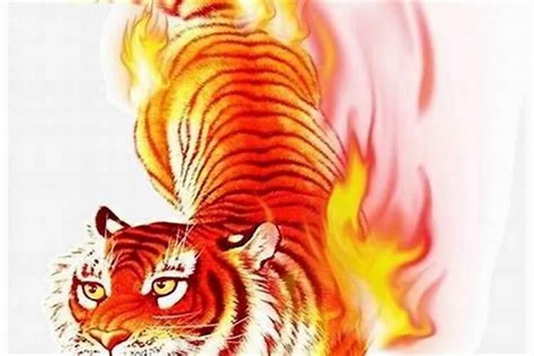 74属虎2025运势及运程详解