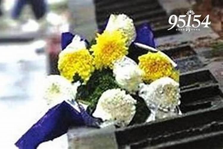 属猪今年的灾难在几月 属猪人2024年如何转运
