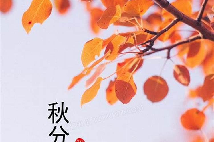 秋分节气的含义是什么 秋分节气的由来和风俗