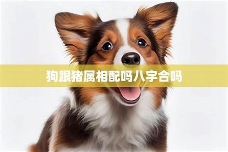 害太岁有哪些影响