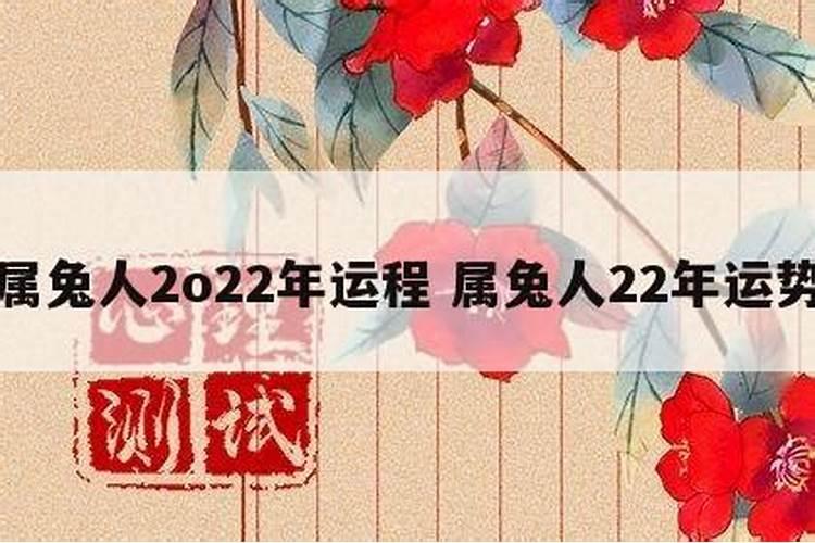 87兔2020年运势如何