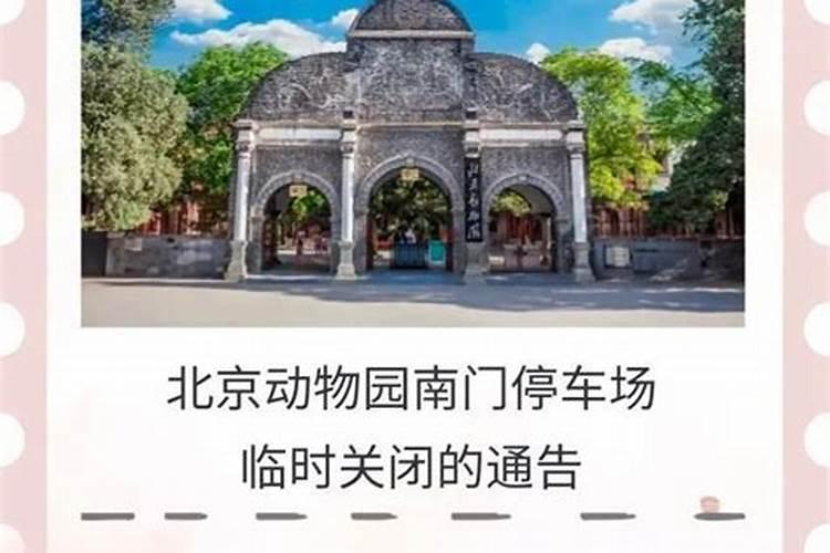 女人梦见蛇鱼要发财