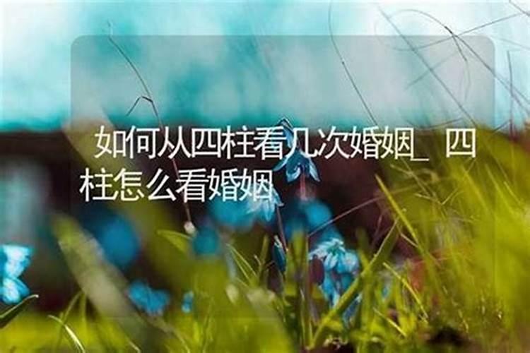 梦见身上爬虫子虫被打死的预兆