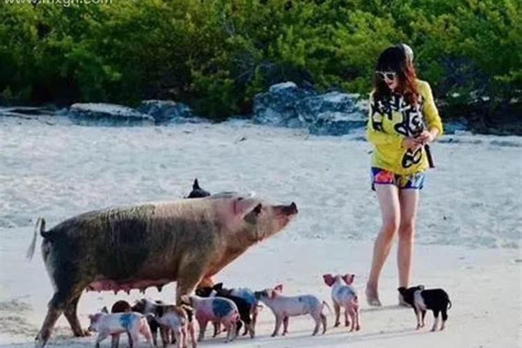 梦见老婆光着全身好不好