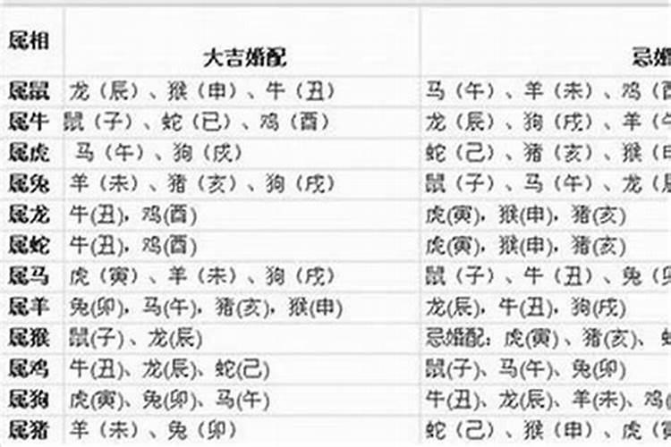 属蛇的和什么属相最配和相克属蛇和什么属相相配好