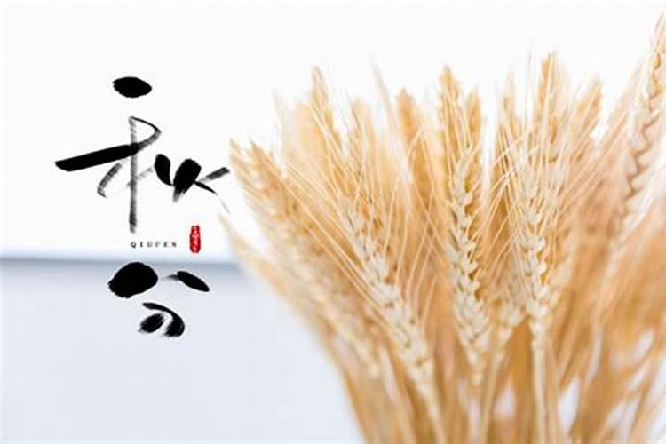 每年秋分日是什么节日