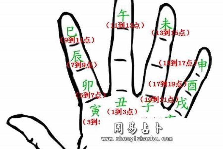属羊人1955年出生命运,1955属羊人的灾难年龄