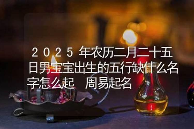 1993年属鸡农历2月25生等是什么命
