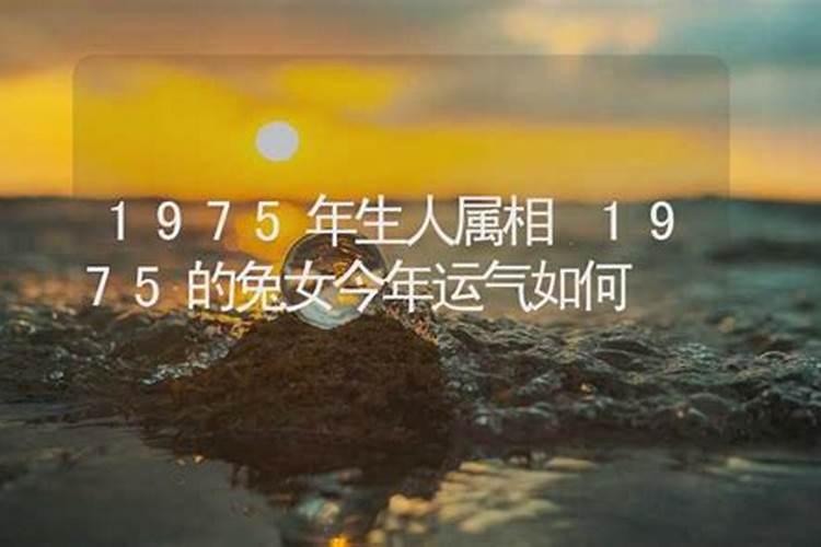 1975属兔女在2025年的每月运势