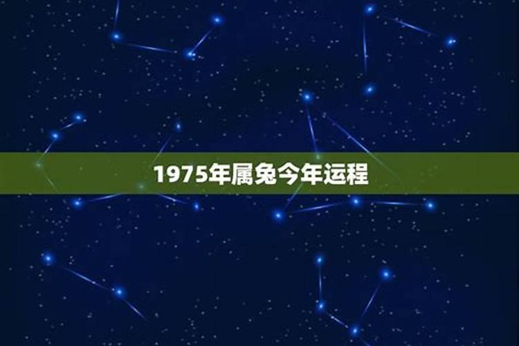 1975属兔2024年的运势及每月运程