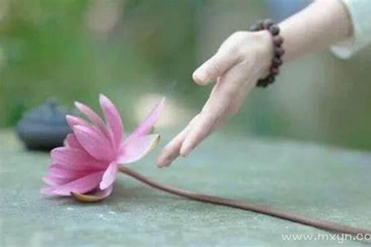 春天有多少个节日
