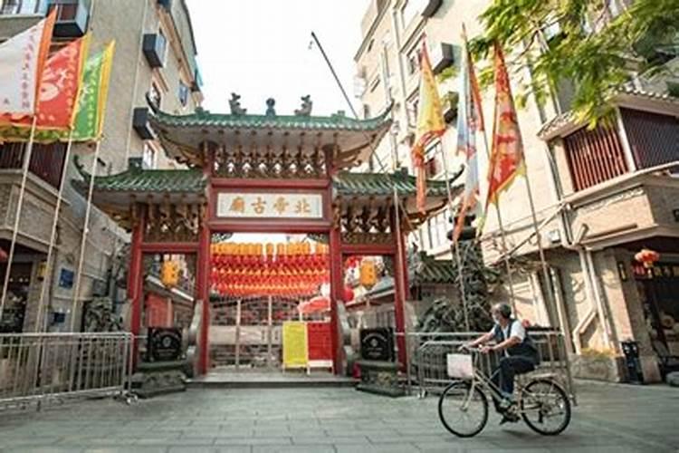2025生肖蛇的运势大全 属蛇人2025年每月运势