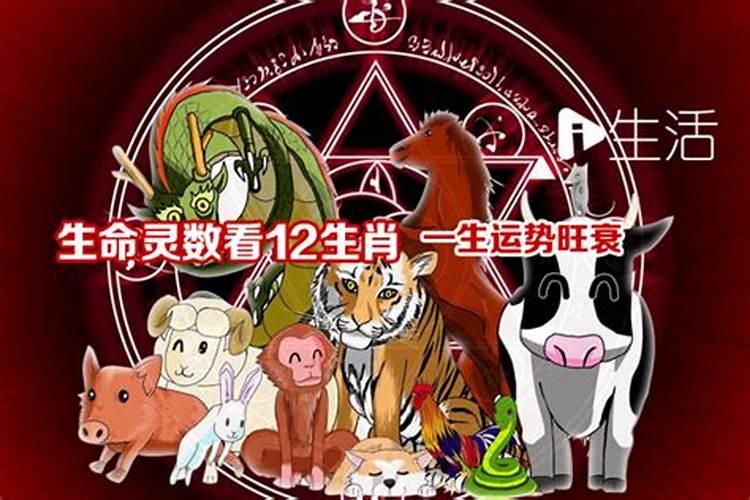 八字天吊关是什么意思？