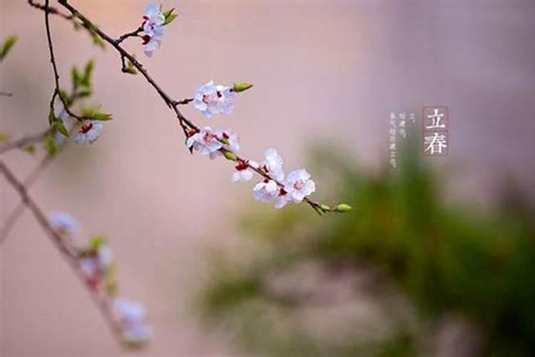 易经改名字的骗局,算命改名字能改运吗