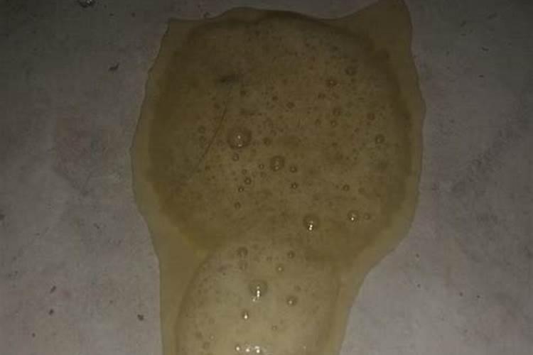 梦见浑浊的黄水
