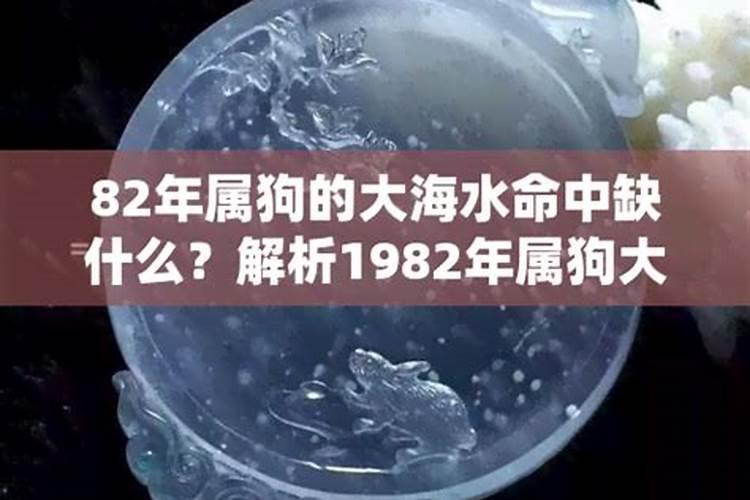 1982属狗人的运势及运程