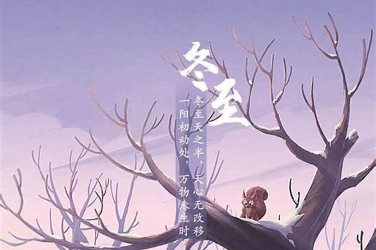 幼儿园冬至主题活动方案