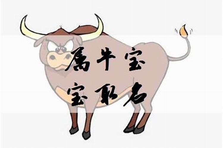 属马的2014年本命年真的犯太岁,不能领证、结婚么？还有什么不能？